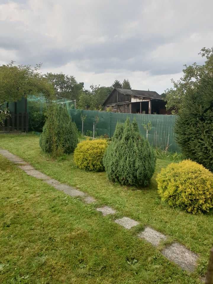 Zahrada s chatkou - 6