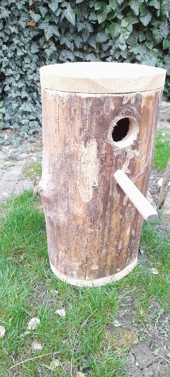 Kmenová budka - 6