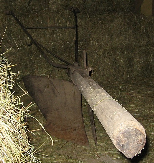 Pluh-koňský - 6