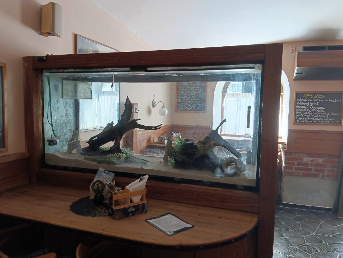 Terárium velké - 6
