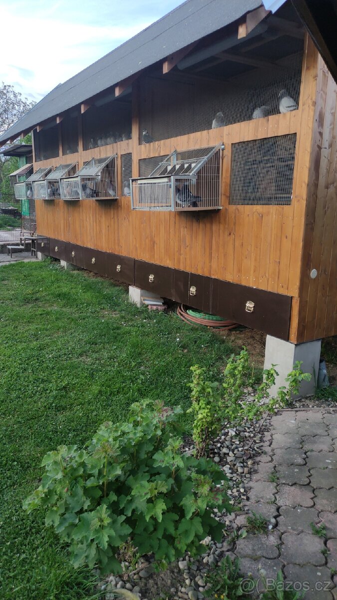 Holubnik 2,1×7,2 metru - 6