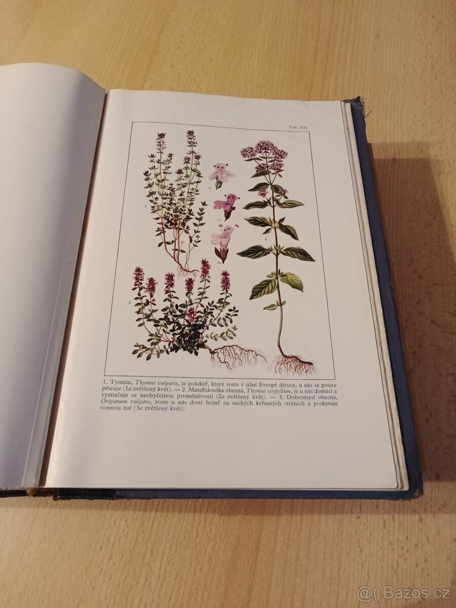 Lékárnická učebnice, Praktický slovník medicíny - 6