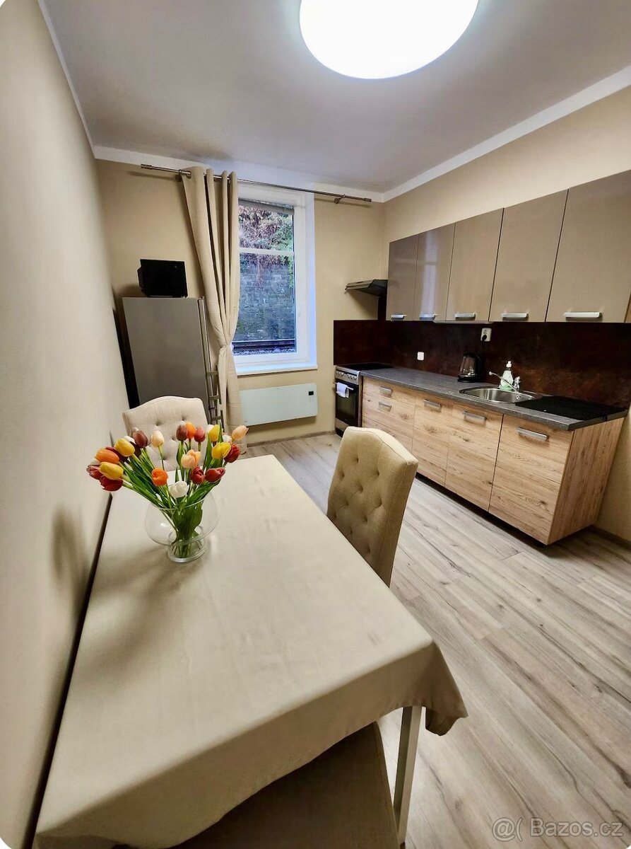 Pronájem 1+1 plně vybaven - 6