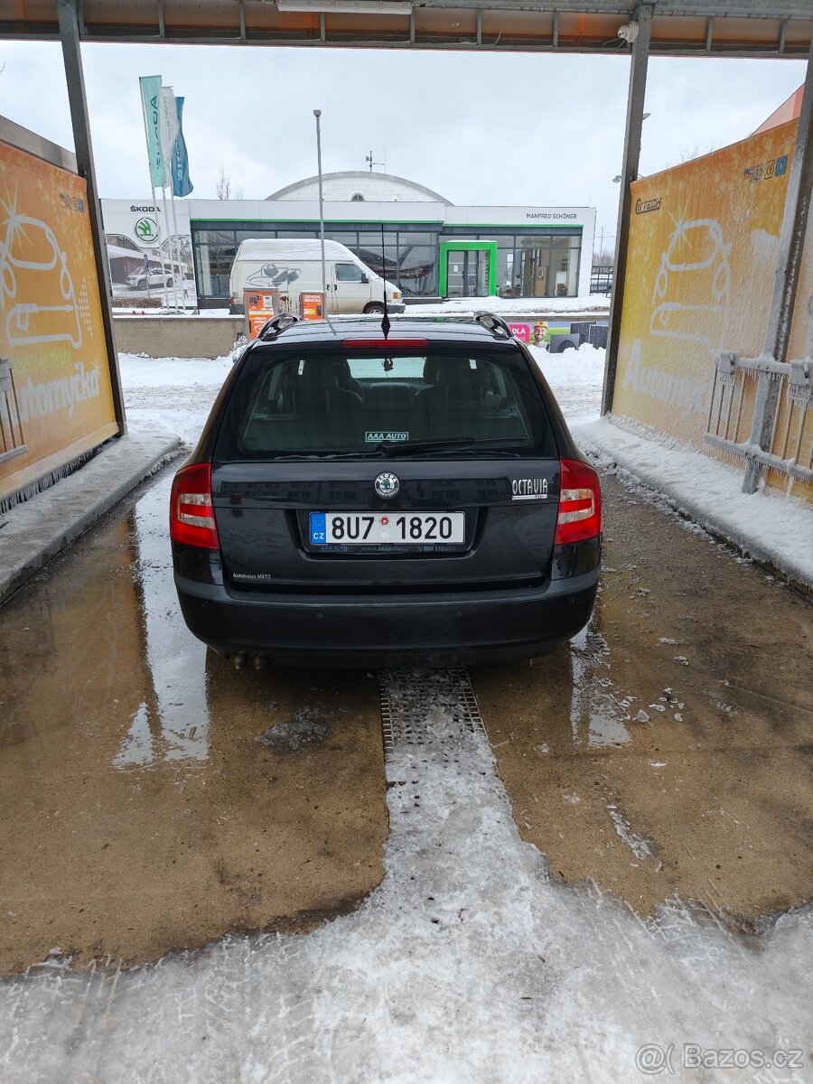 Octavia II - 6