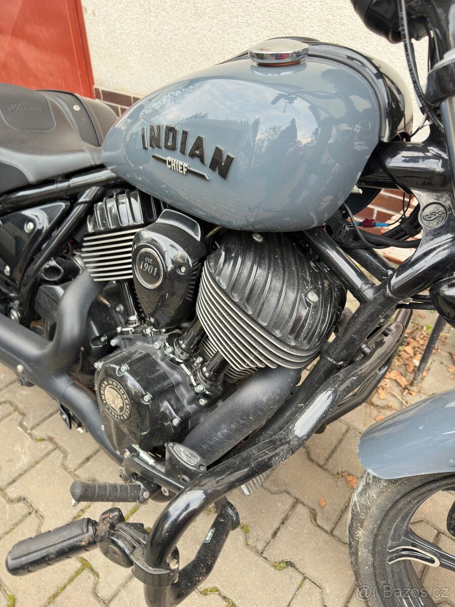 Indian Chief Dark Horse - 6