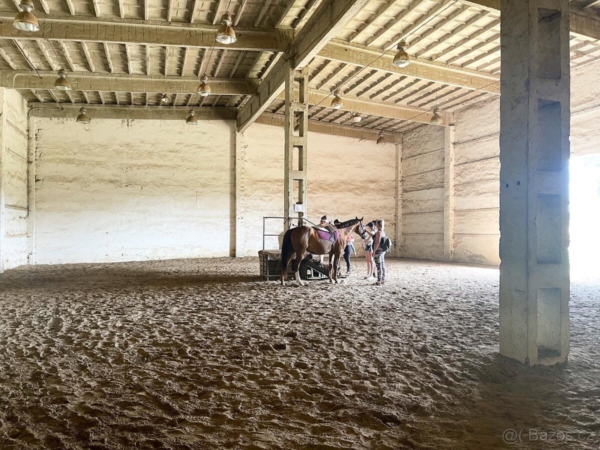 Jezdecký areál Eden – ustájení koní - 6