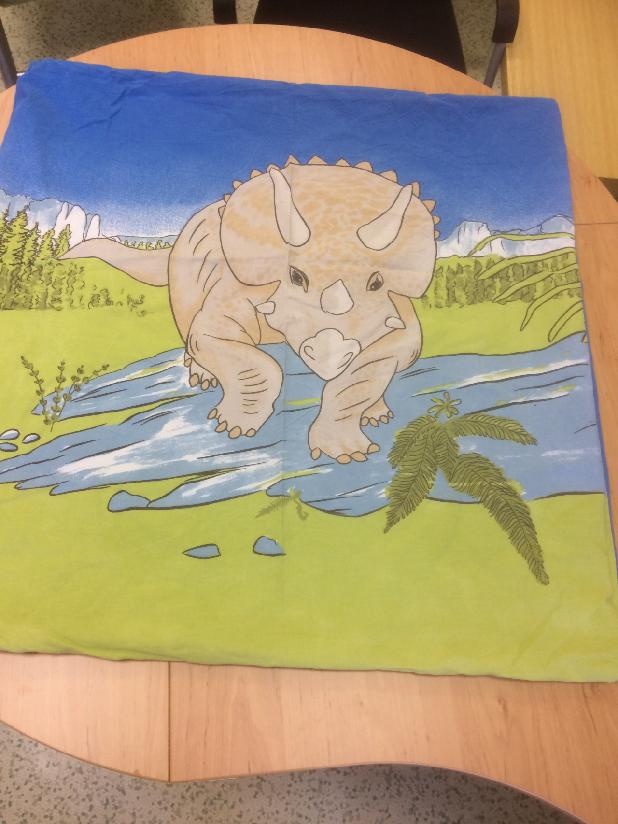 POVLEČENÍ DINOSAUŘI - 6