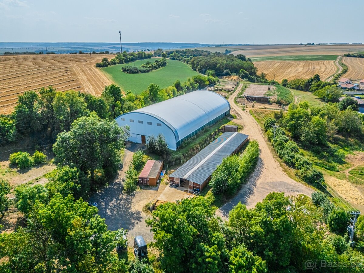 Ustájení koní – Telce u Peruce - 6