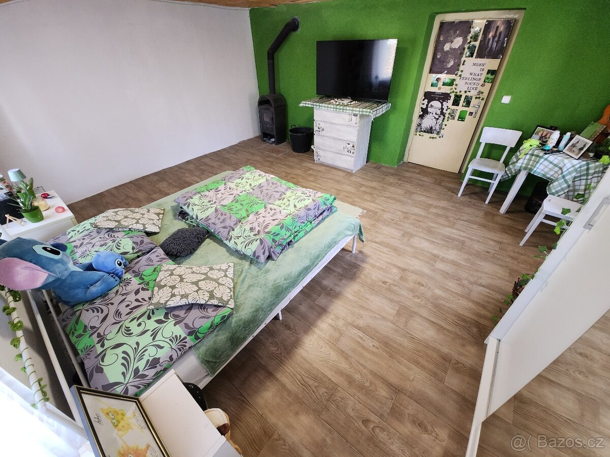 Prodej RD 160 m2, pozemek 6200 m2, Smidarská Lhota - 6