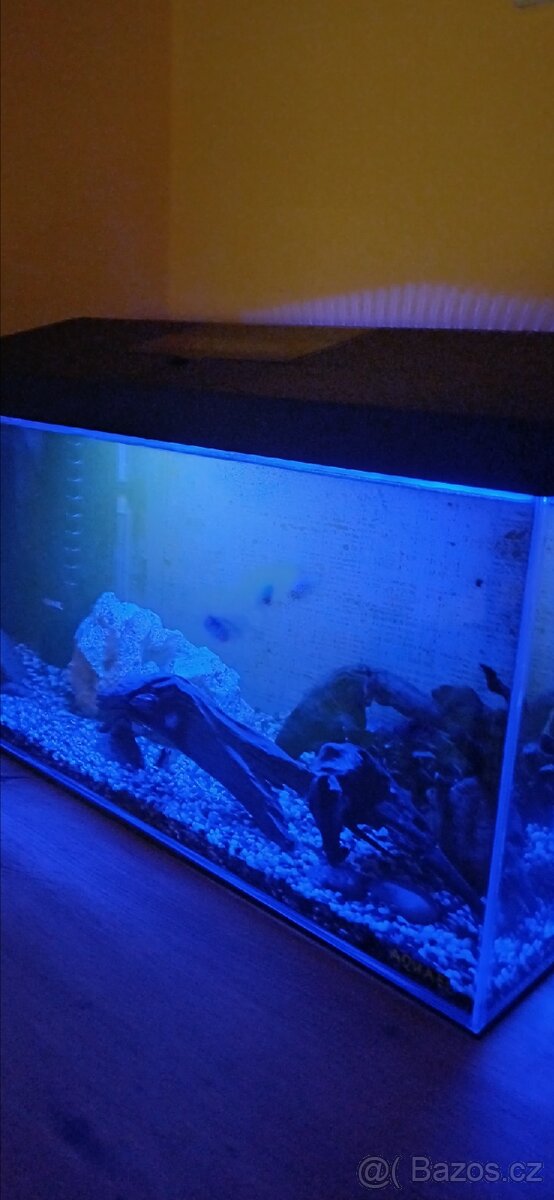 Zařízené akvárium - 6