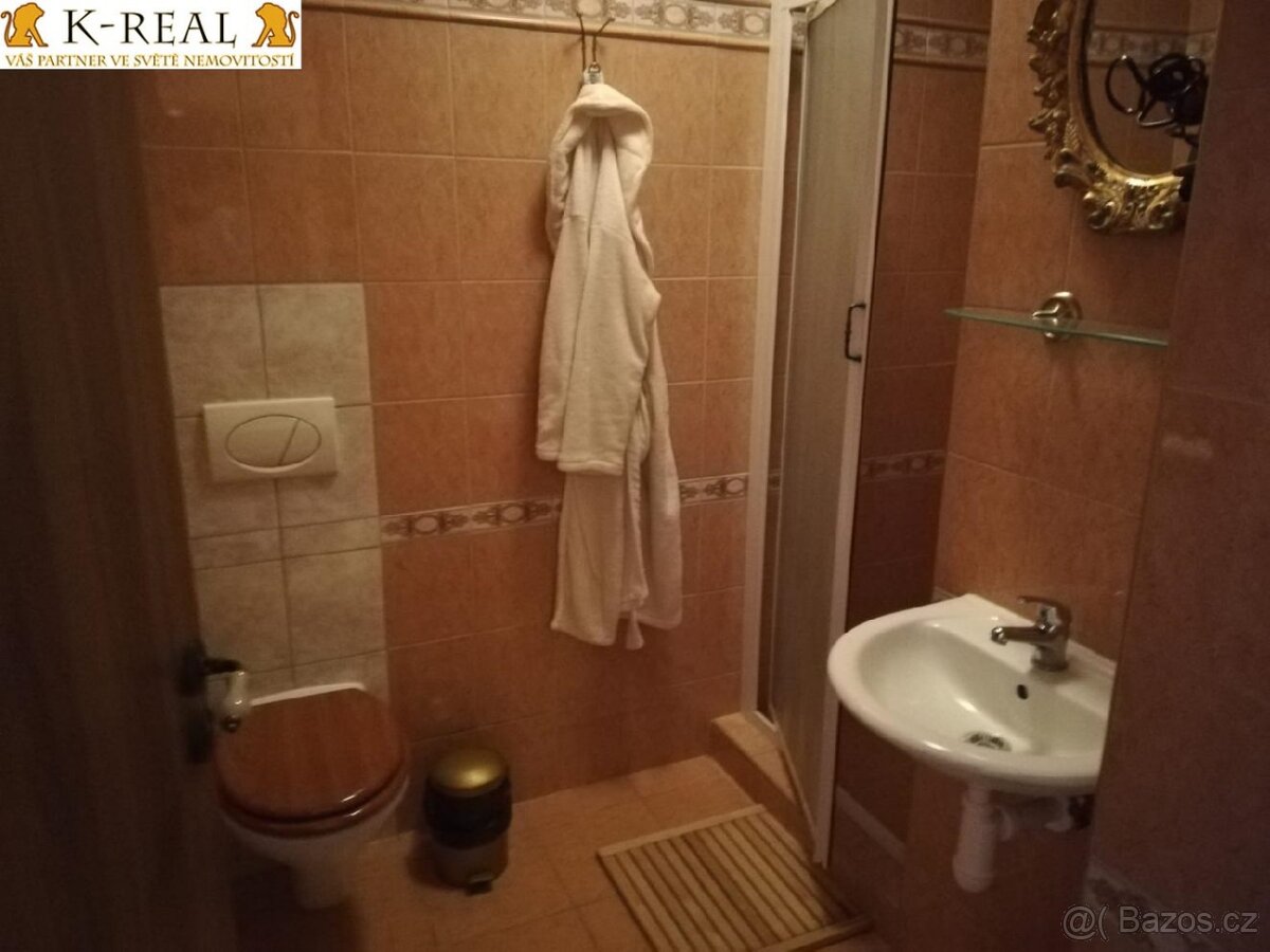 Pronájem byt 1+0 Brno - Bosonohy, okr. Brno - město - 6