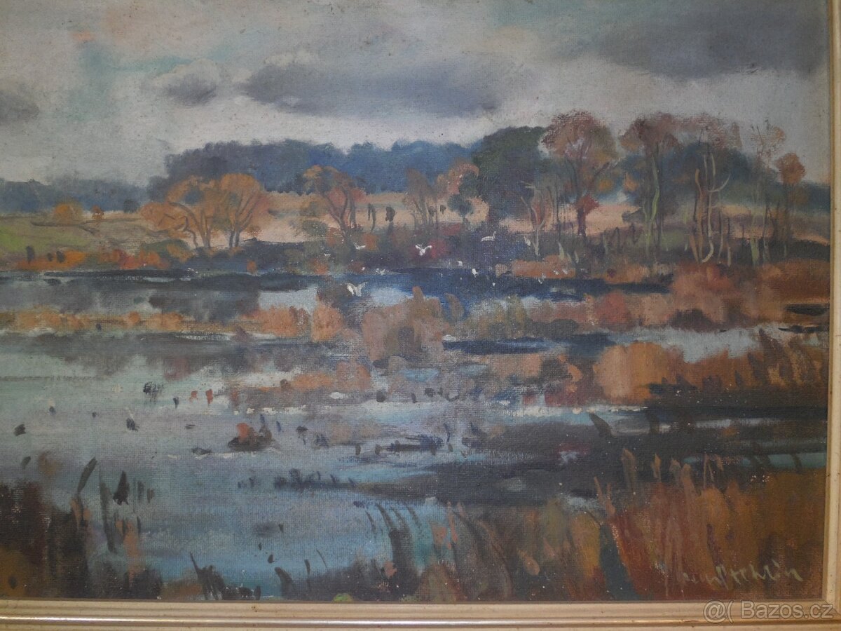 Obraz Rašeliniště sig. Karel Stehlík 1912- 1985 - 6