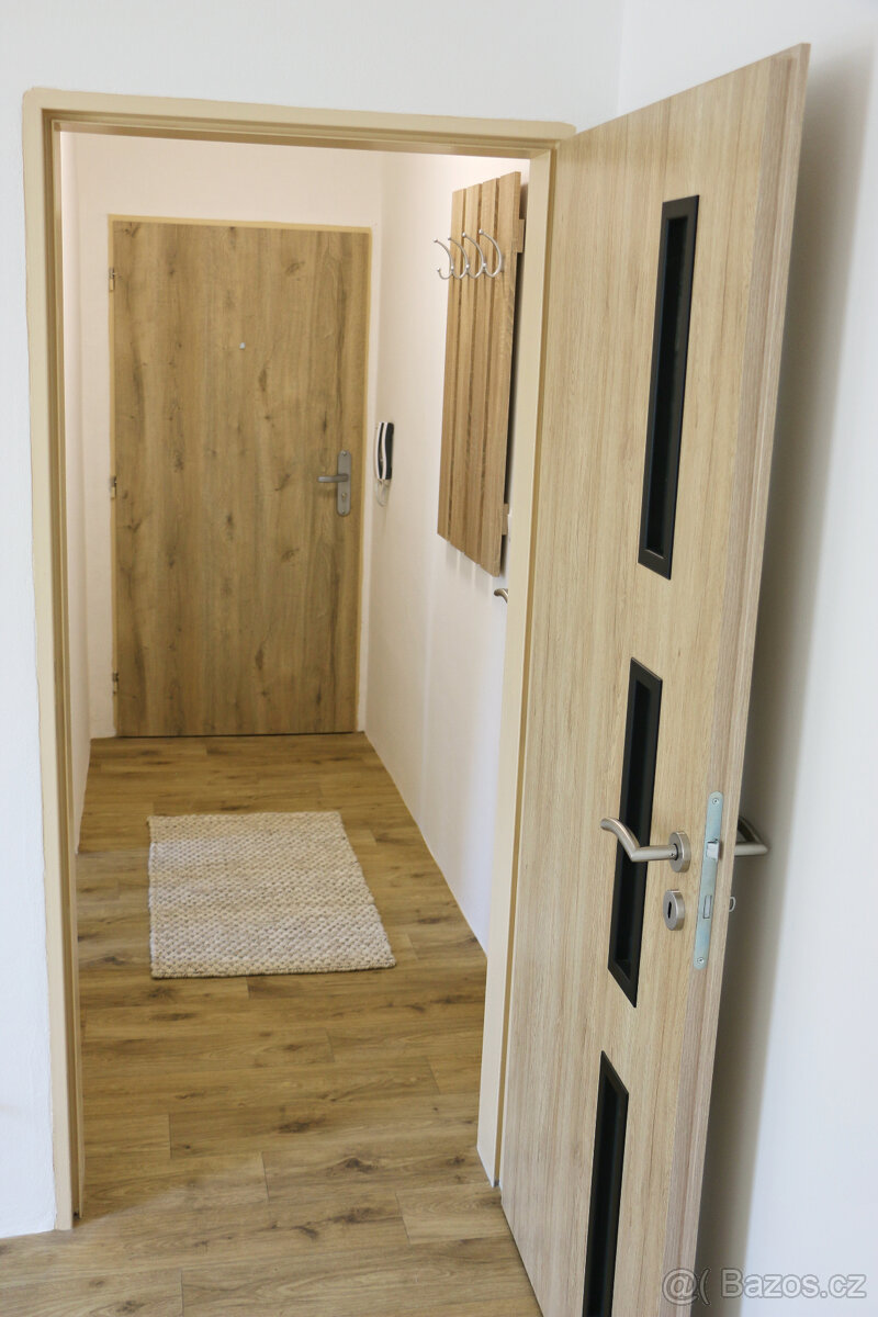 Pronájem bytu 2+1 se zahradou - 6