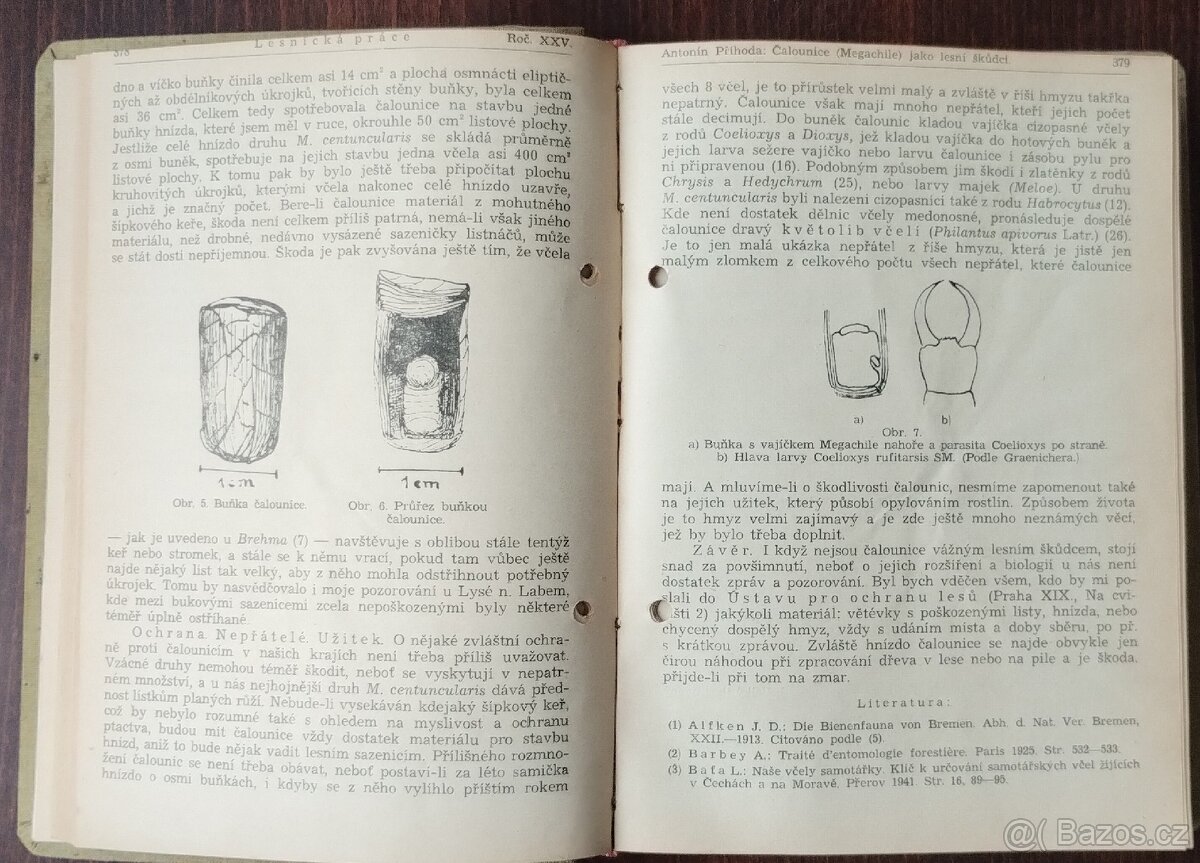 (Antikv.)Lesnická práce, časp. SET 12 - 6