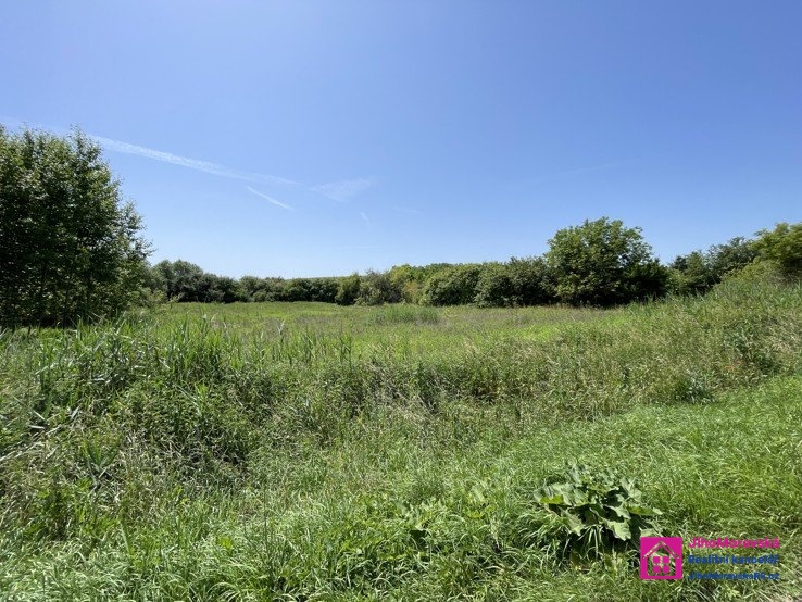 Prodej stavebního pozemku, 7 284 m², Diváky, ev.č. 00112 - 6