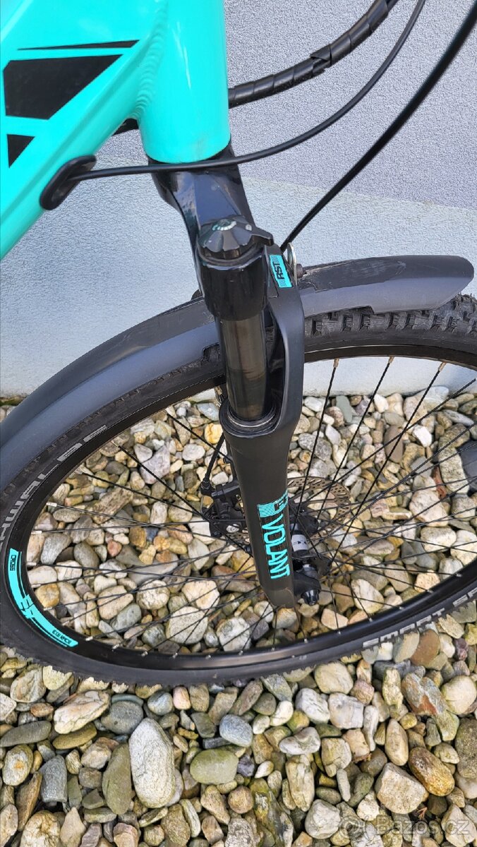 Leader Fox Venosa - 6