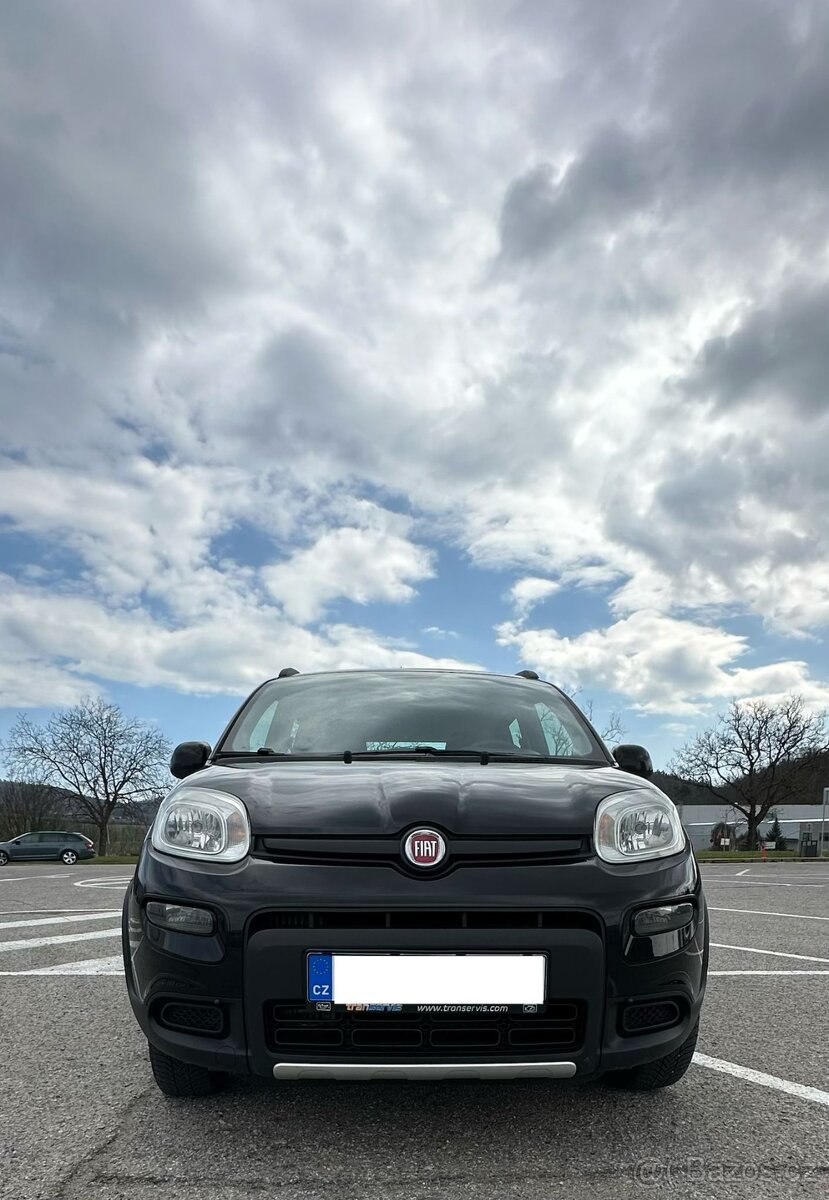 Fiat Panda 4x4 - 6