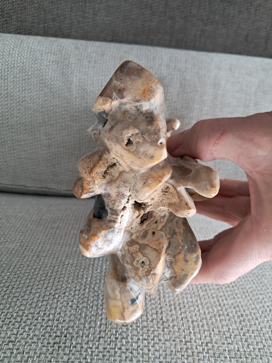 zkamenělé dřevo - 6