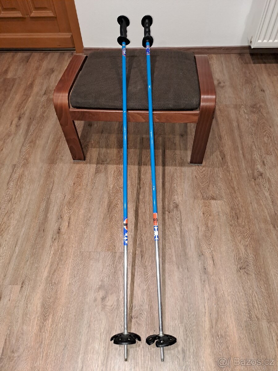 Sjezdové hole - 6