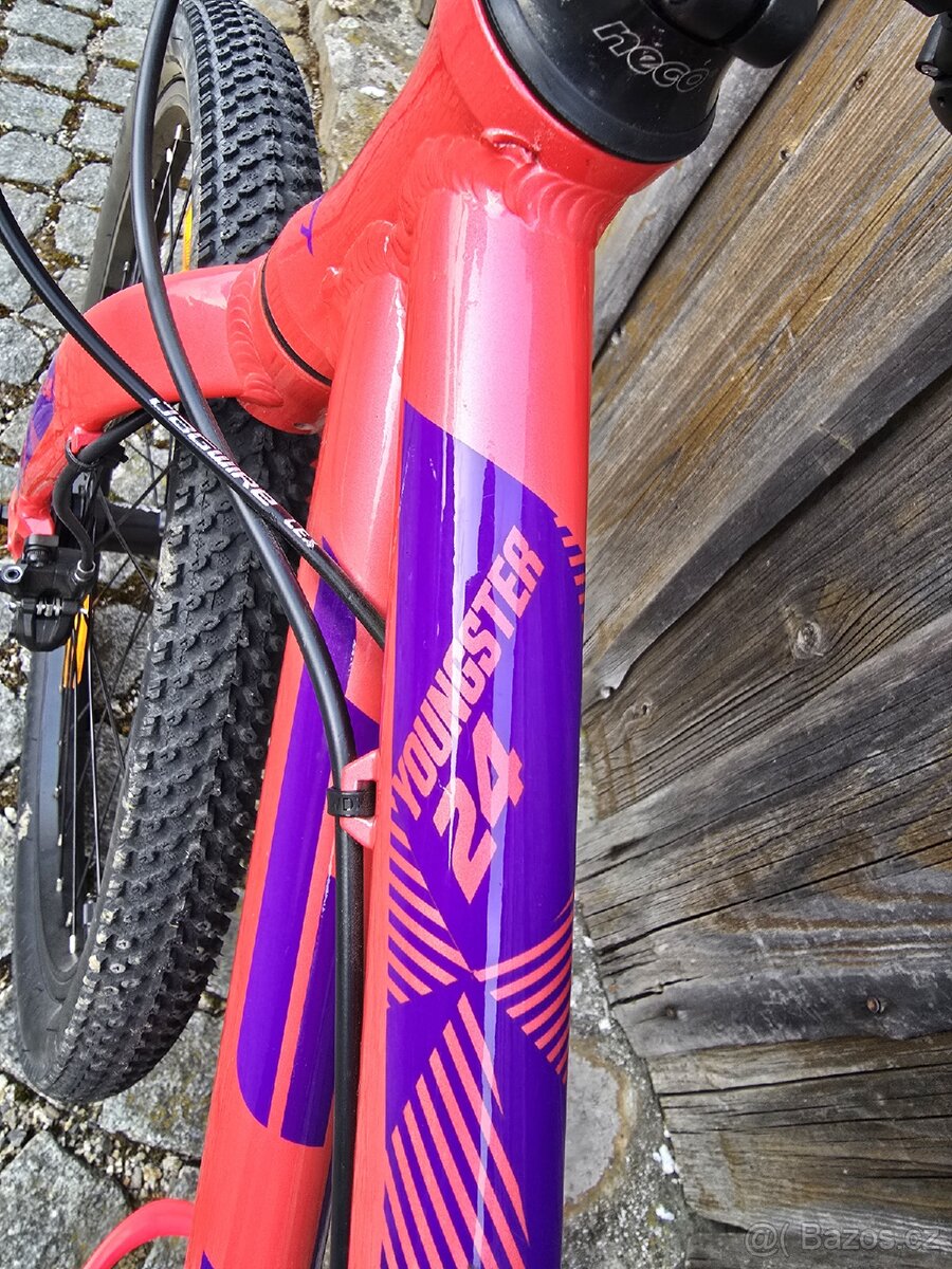 Amulet Youngster 24 - 6