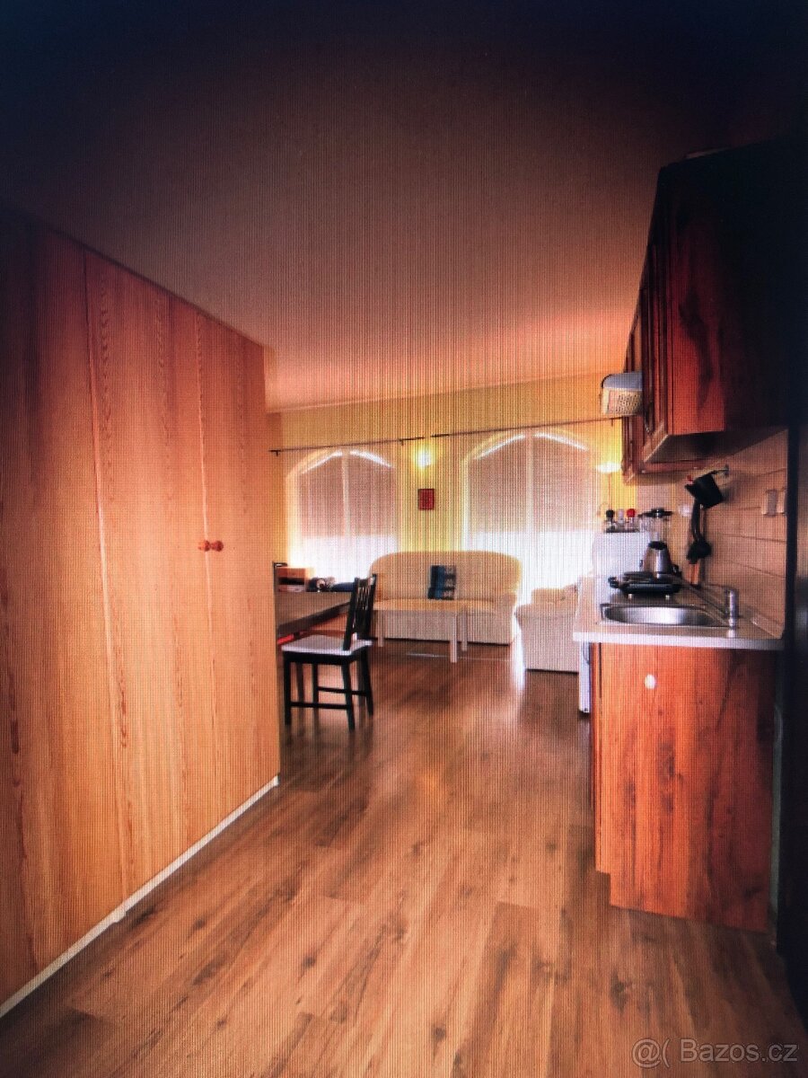 Pronájem pokoje 1+kk, 32 m2, Moravany u Brna - 6