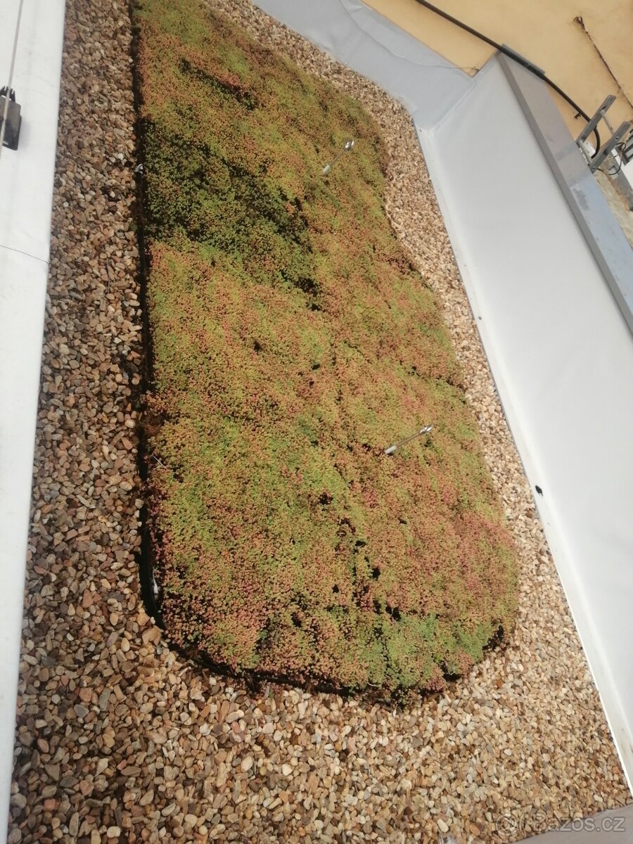 Hydroizolace střech, PVC + TPO + zemni vlhkost + asfalt - 6