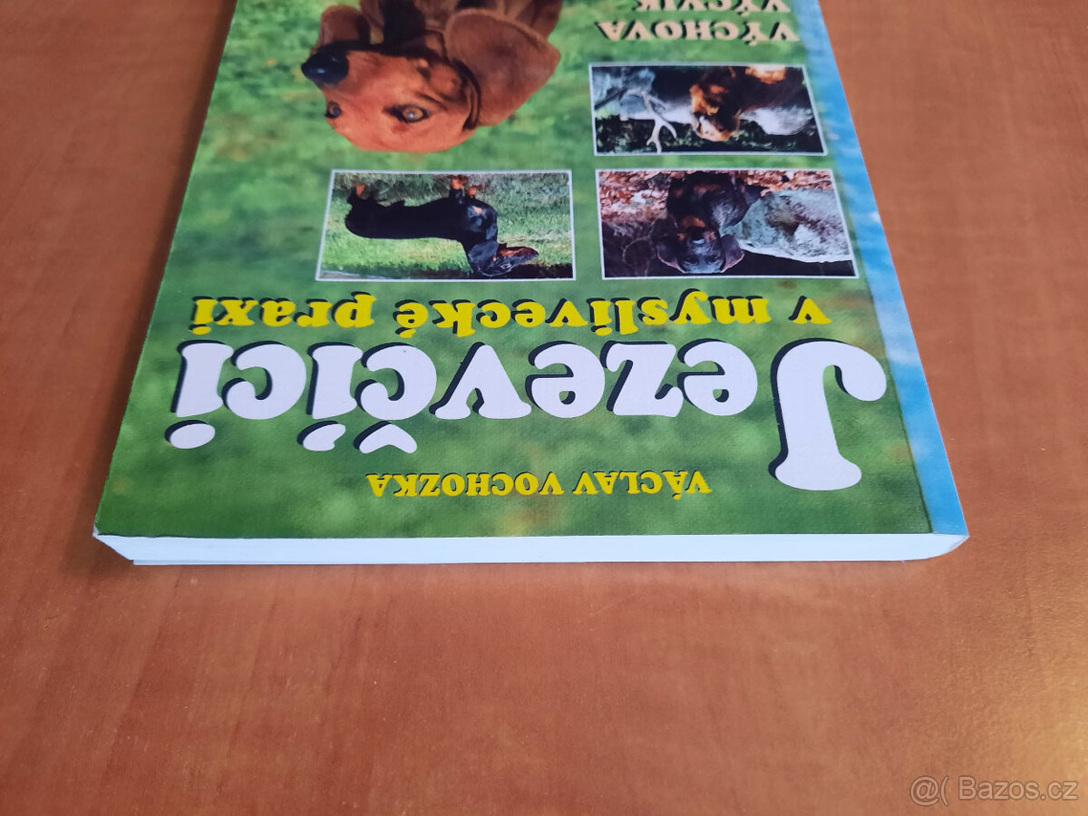 Jezevčíci v myslivecké praxi - 6