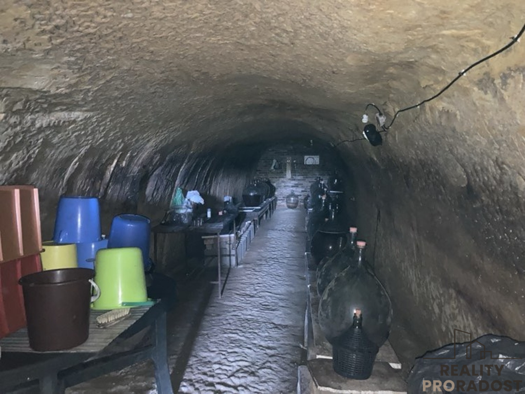 Prodej vinného sklepa ve Chvalovicích, 20 m2, Chvalovice, ok - 6
