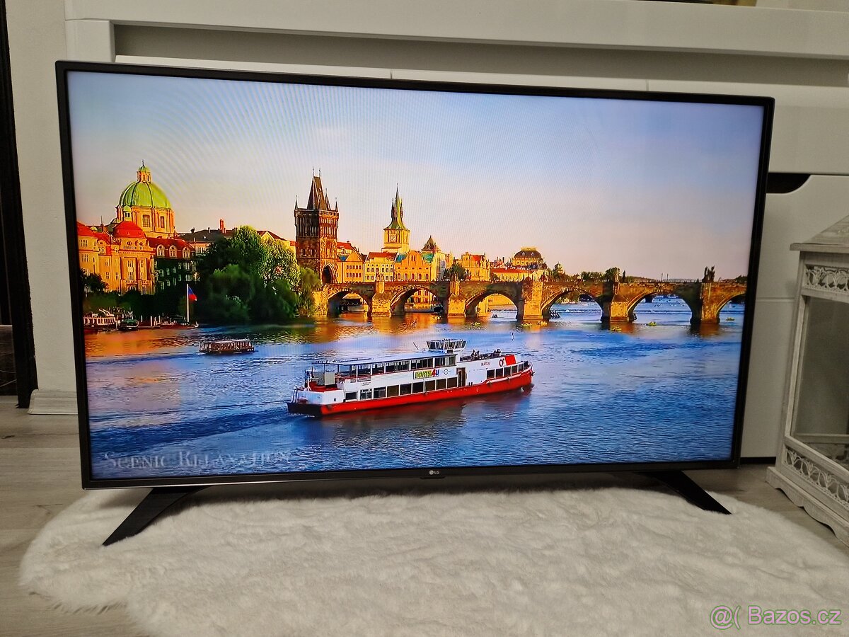 Smart Televize LG 49LH6047 (100hz panel) - 6