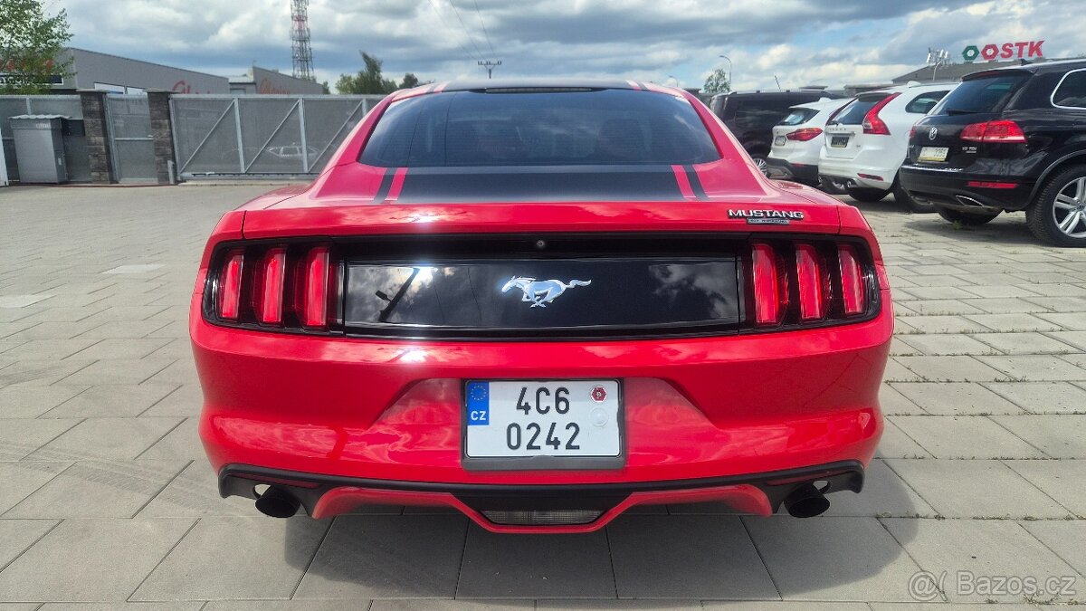 Mustang Performance Uloženka 18tis km - 6
