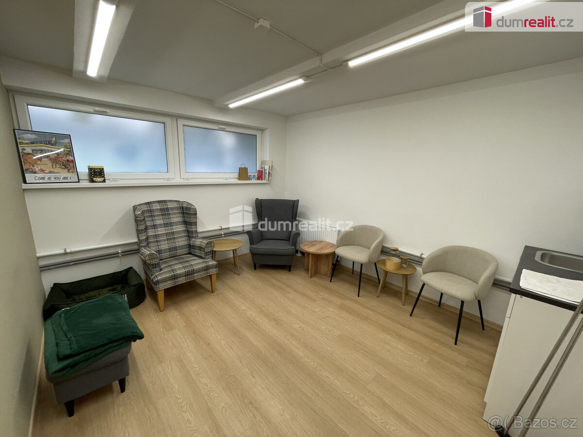 Pronájem nebytových prostor 30 m2 - 6