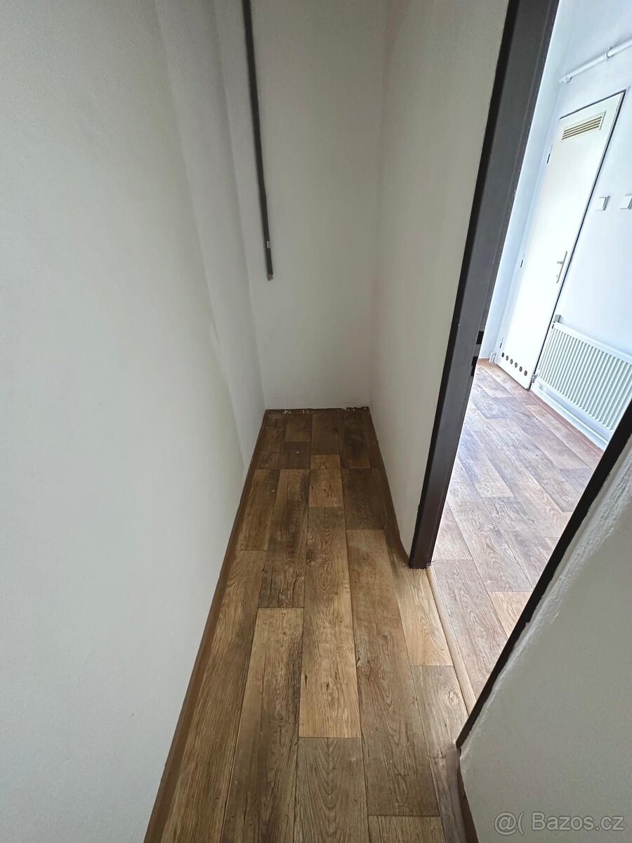 Pronájem bytu 1+1- Praha 3 - 6