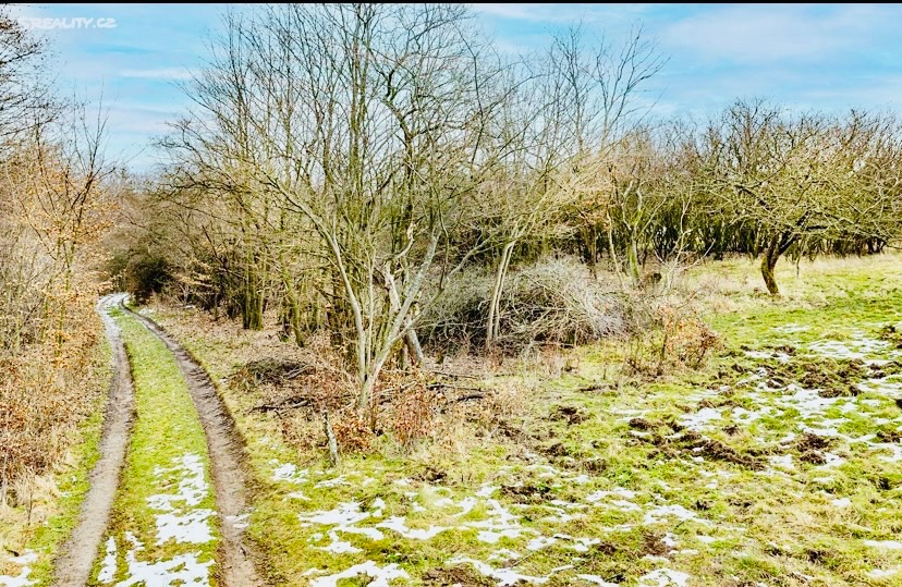 Pronájem Zahrady - 6