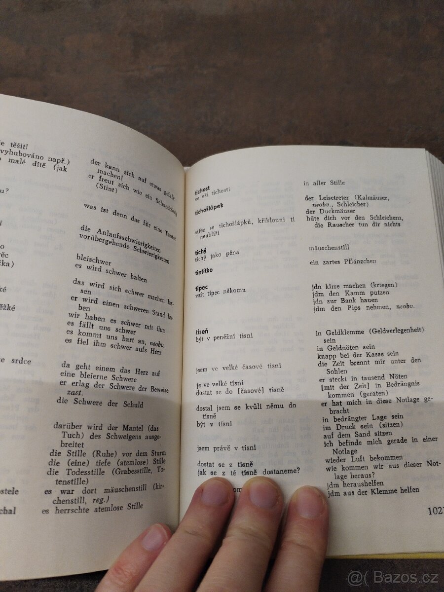 Jak se to řekne německy Slovník - 6