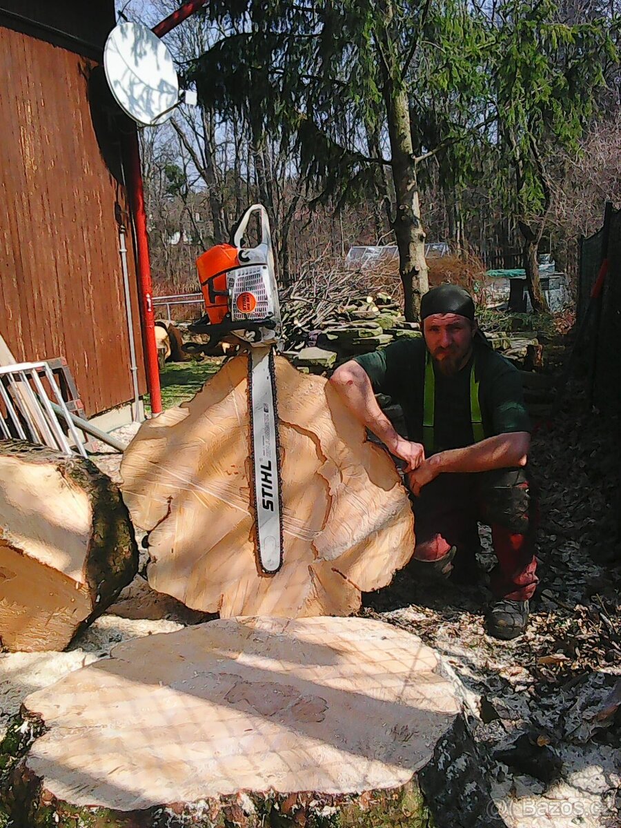 Kácení a ořezy stromů Uherskobrodsko - 6