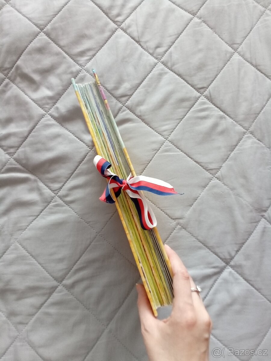 Dějiny českého národa 2003 - 6