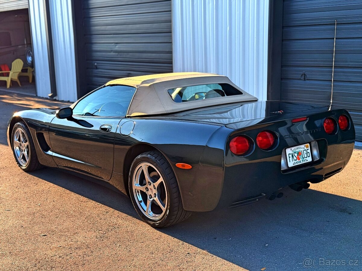 2000 Chevrolet Corvette C5 Conv. 5.7 V8 | Bowling Green 🇺🇸 - 6