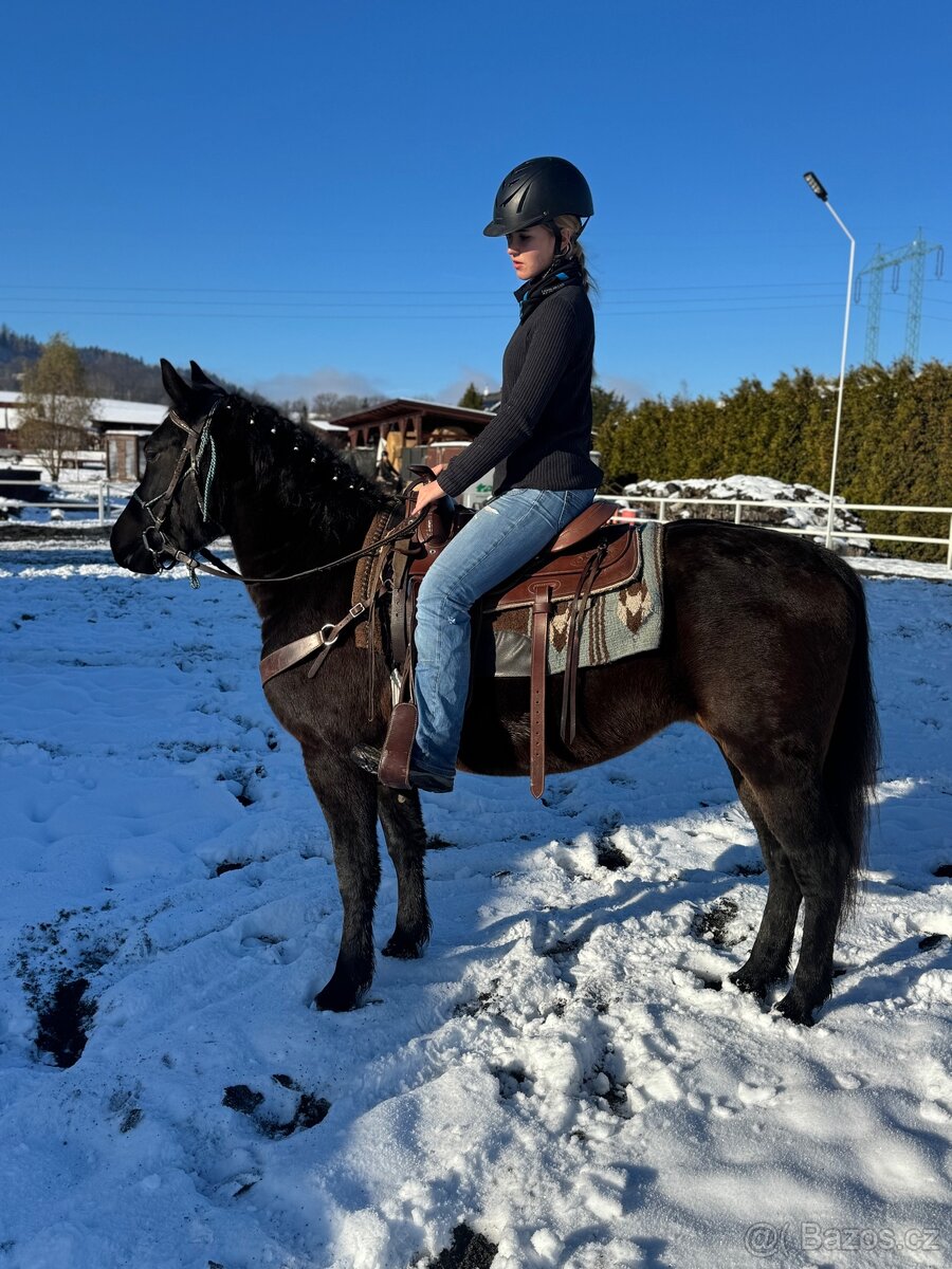 Kobyla 5 let na prodej - 6