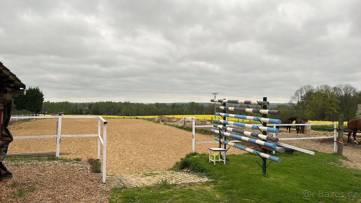 Nabízím Ustajeni - 6