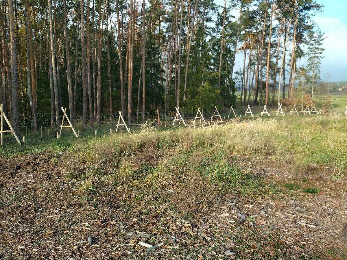 Stavba lesních oplocenek - 6