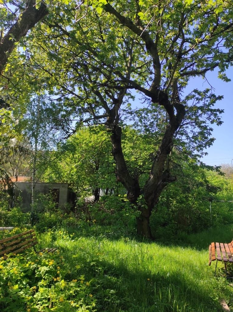 Prodej RD se zahradou v Lounech - 6