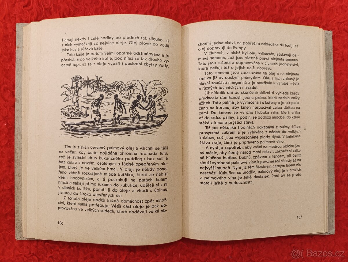 V ŘÍŠI KROKODILŮ A VOLAVEK - Georg Strack - 6