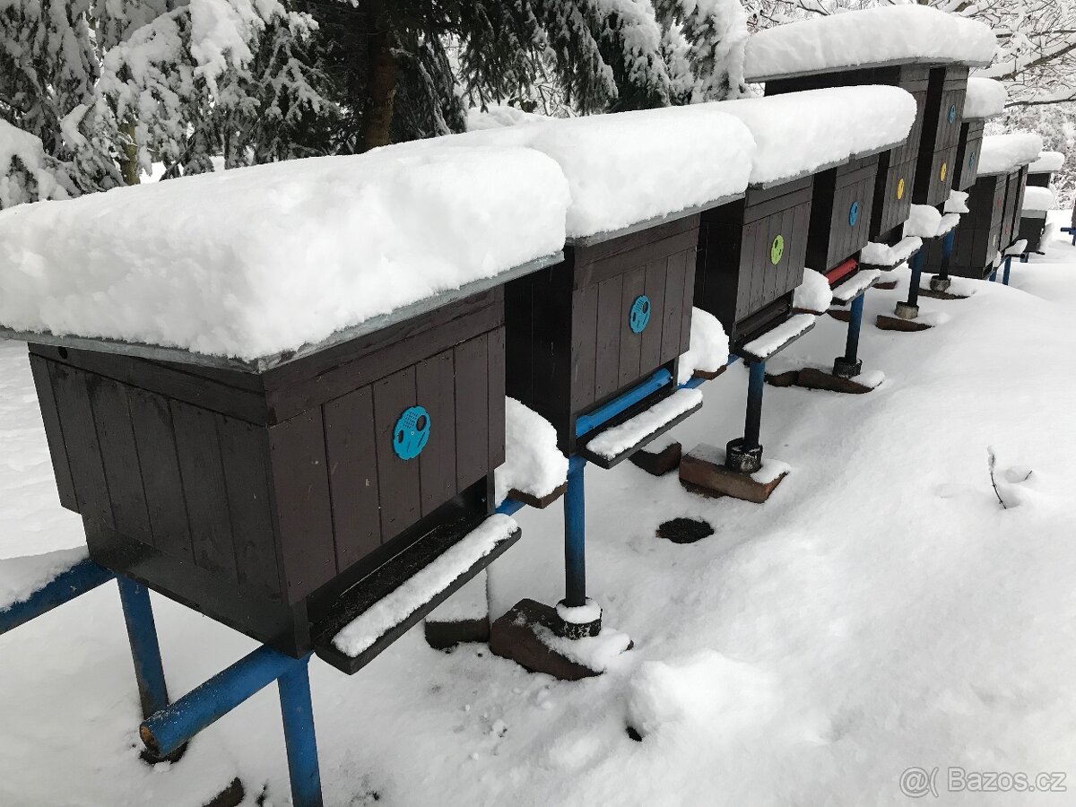 MED přímo od včelaře – při koupi 10 sklenic 1 zdarma - 6