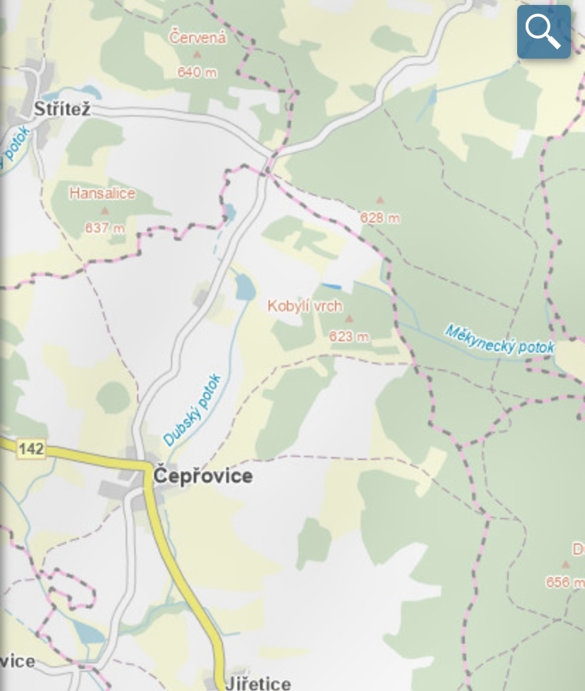 Prodám lesní pozemek Čepřovice - 6