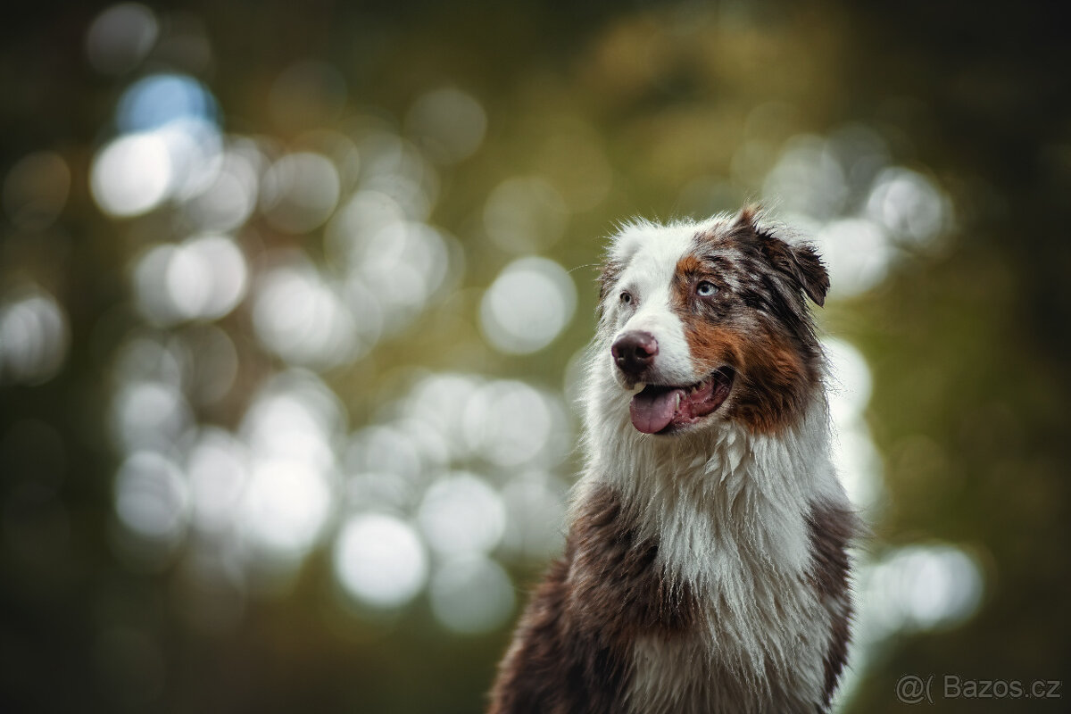 Meopta Meostigmat 141/1,9 M42 - 6