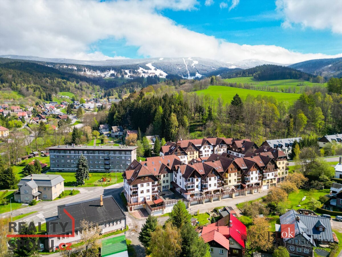 Prodej, byty/3+kk, 85 m2, Horní Rokytnice 656, 51245 Rokytni - 6