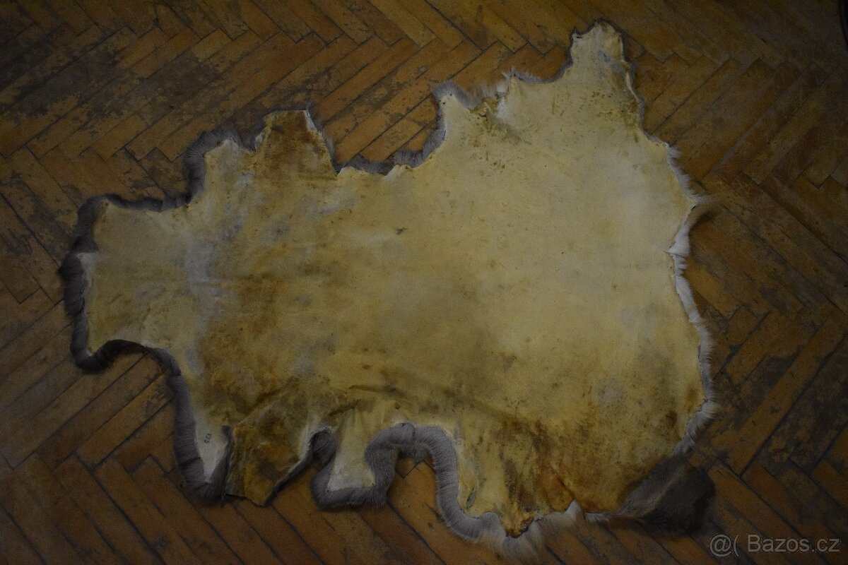 Kožešina Srna 1 - 6