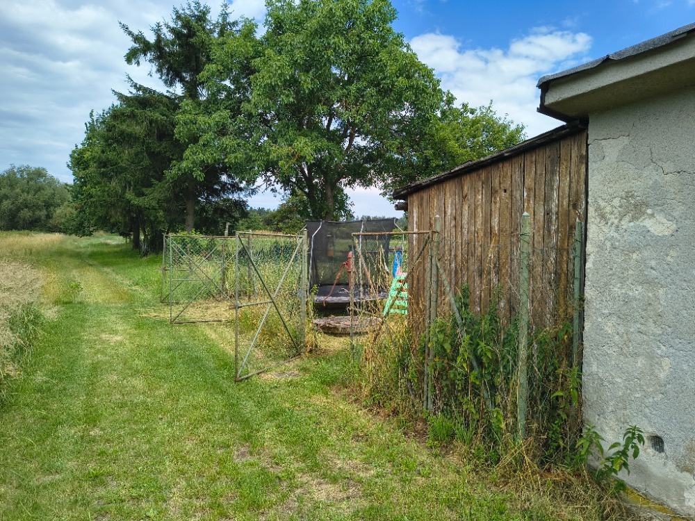 Prodám zahradu - 6