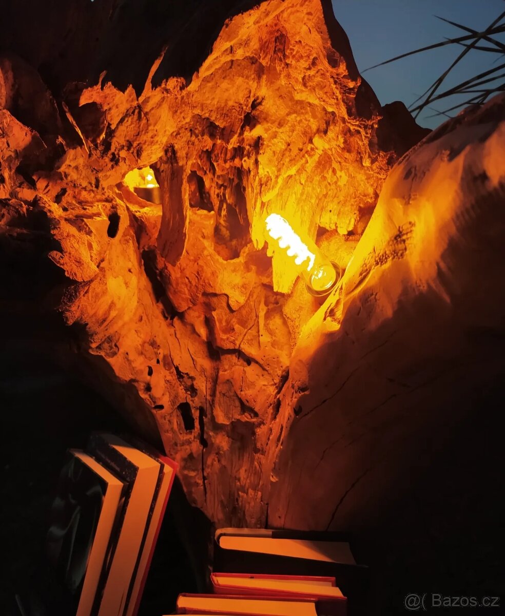 Sveťelní koreň - 6