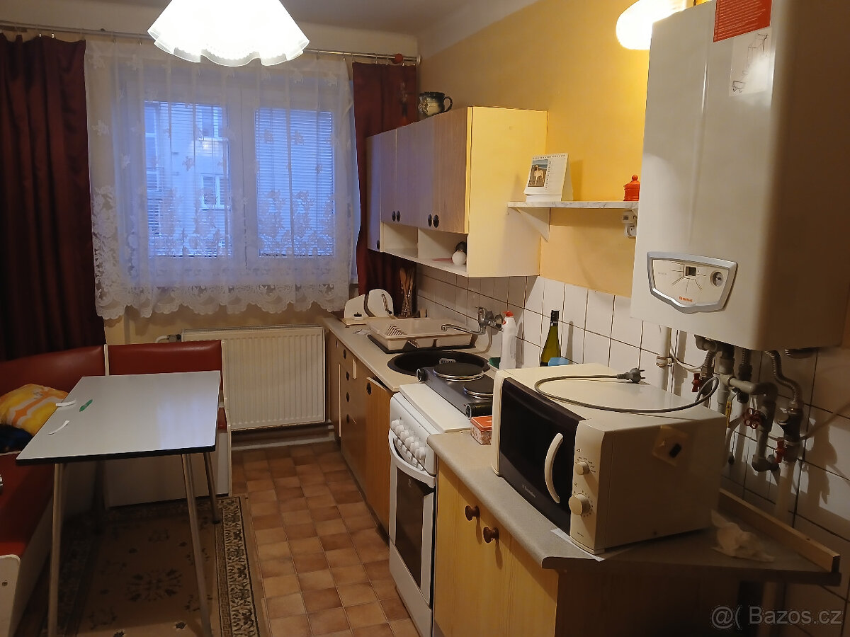Prodám byt 2+1 v Černožicích - 6